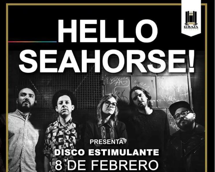 HELLO SEAHORSE! regresa con un Disco Estimulante en MUSICA.  Chicas Rockeras!