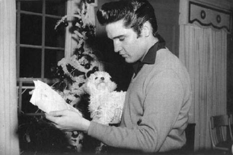 ROCKSTARS Y SUS MASCOTAS: Elvis Presley