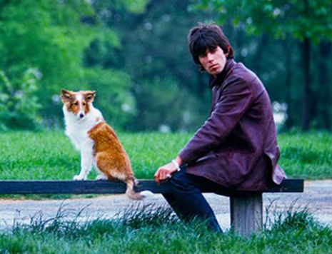 ROCKSTARS Y SUS MASCOTAS: George Harrison