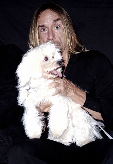 ROCKSTARS Y SUS MASCOTAS: Iggy Pop