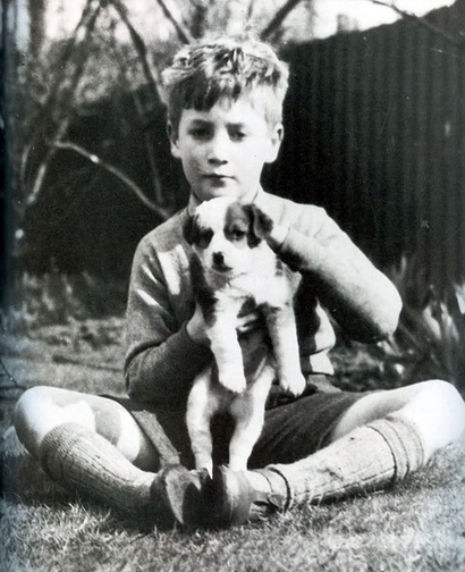 ROCKSTARS Y SUS MASCOTAS: John Lennon