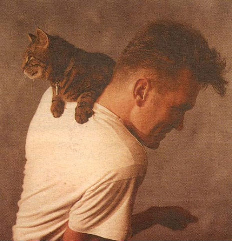 ROCKSTARS Y SUS MASCOTAS: Morrisey