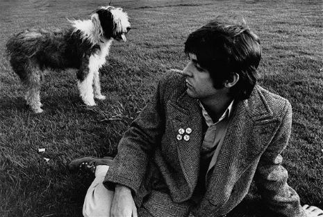 ROCKSTARS Y SUS MASCOTAS: Paul McCartney