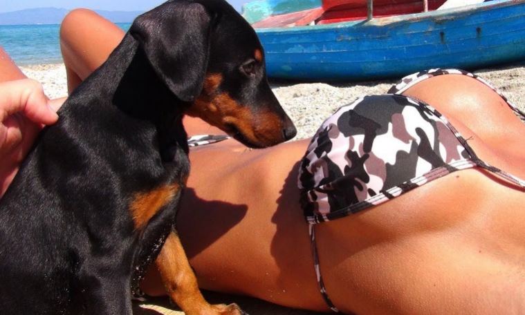 Chicas y sus perros: De antojo