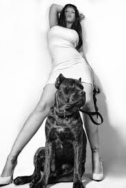 Chicas y sus perros: Un dogo