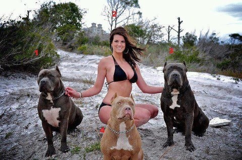 Chicas y sus perros: Chica inalcanzable