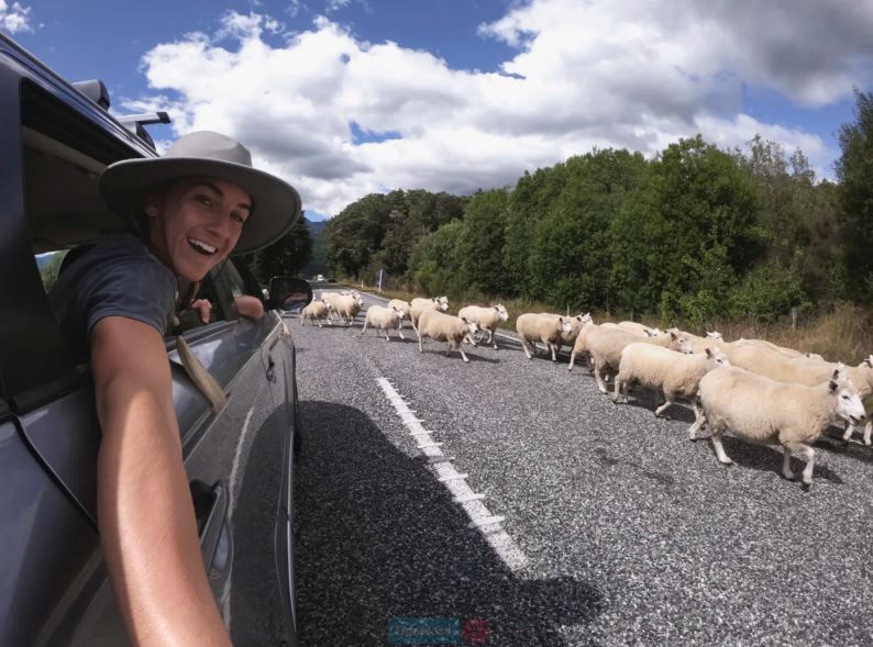 Cómo hacer un roadtrip en México y no morir en el intento.